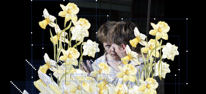 Wild Narcissus